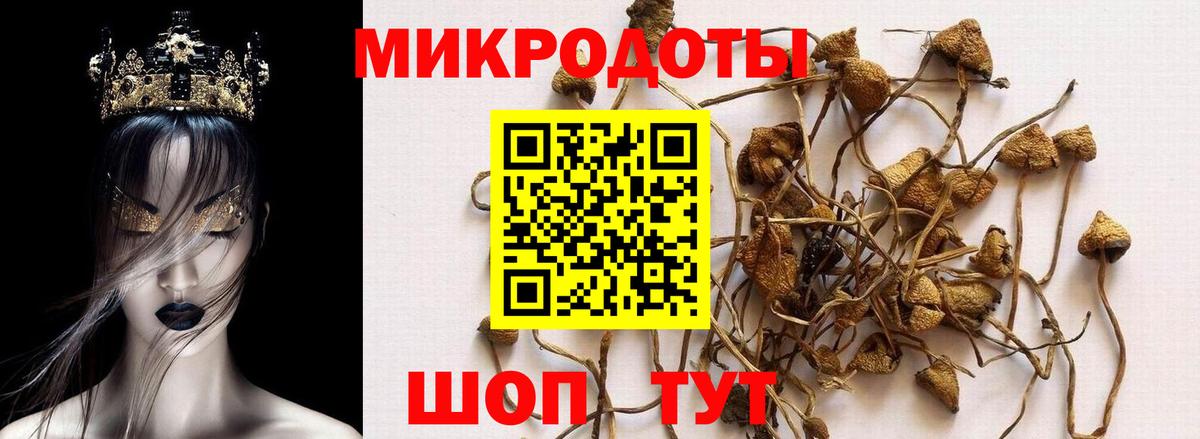 Псилоцибиновые грибы прущие грибы  Галлюциногенные грибы мицелий  Волжский  Вход с VPN 