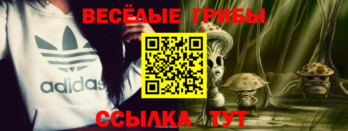 Псилоцибиновые грибы Psilocybine cubensis Волжский